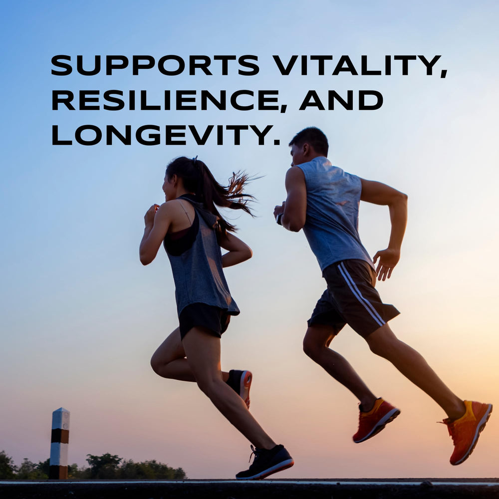 DAKE vitamin graphic illustrating D‑A‑K‑E synergy for daily wellness.