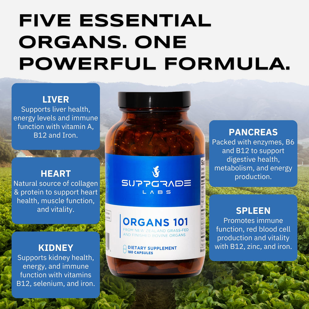 Suppgrade Labs Organs 101 bottle-back label showing nutrient profile