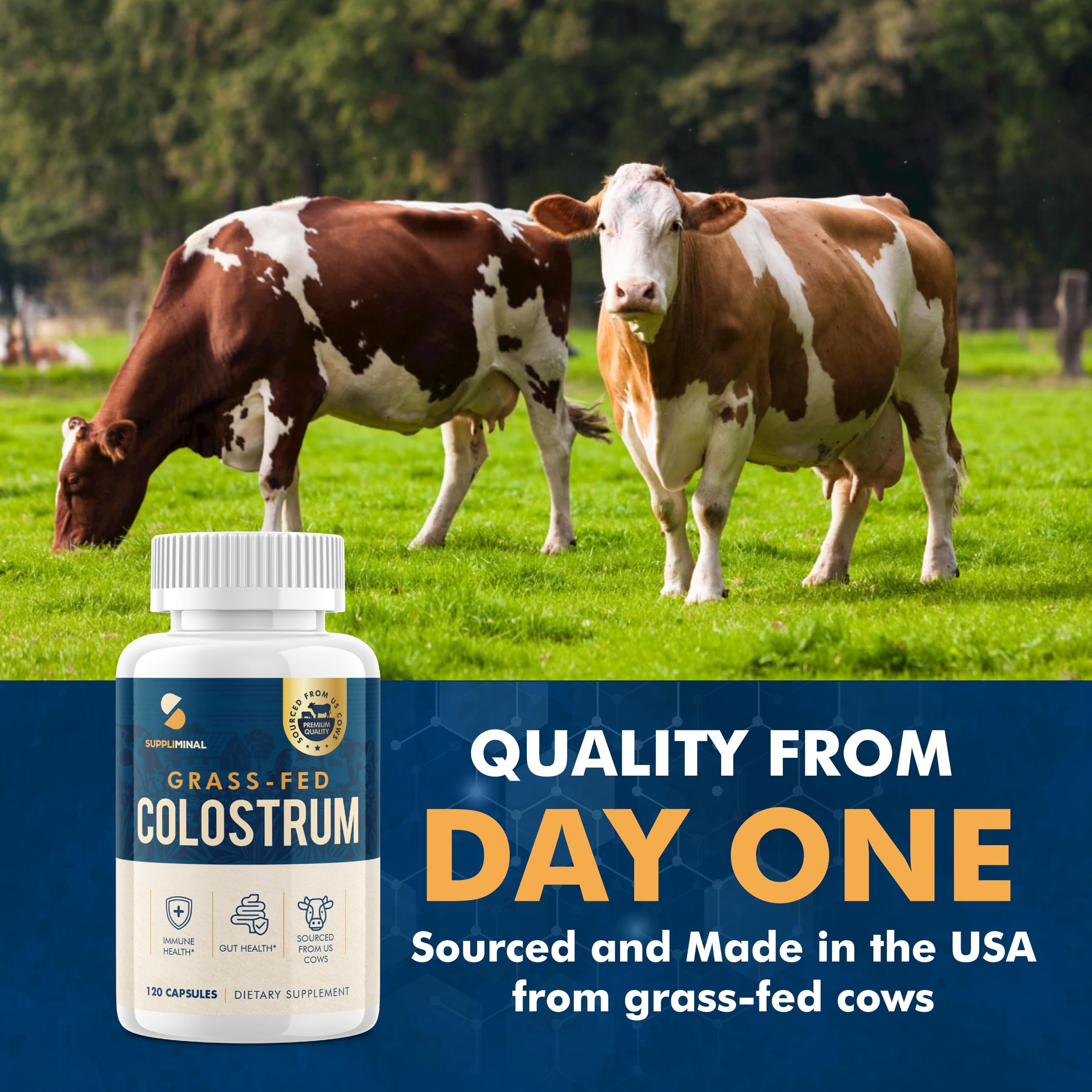 Suppliminal Digestive Health Focus: suggests gut-friendly nutrients and growth factors