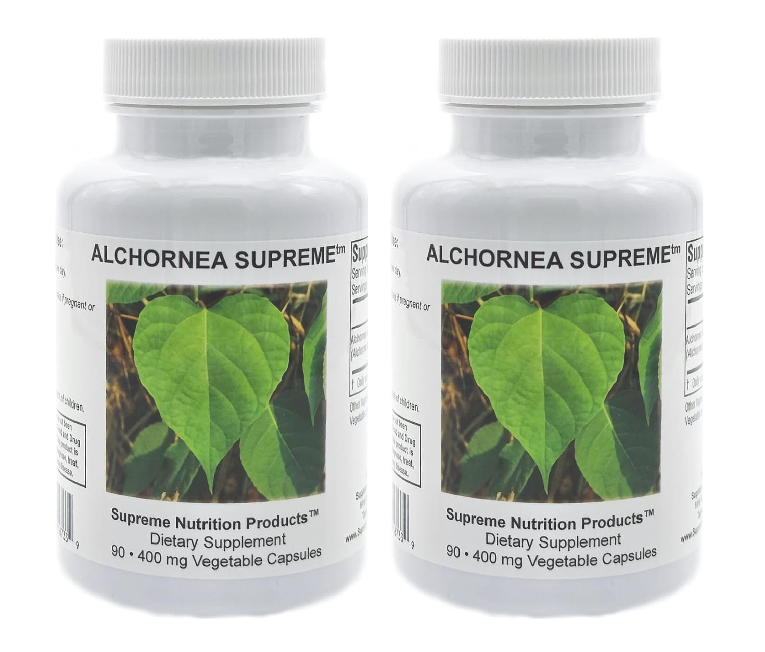Supreme Nutrition Alchornea Supreme leaves close-up for daily herbal routine.