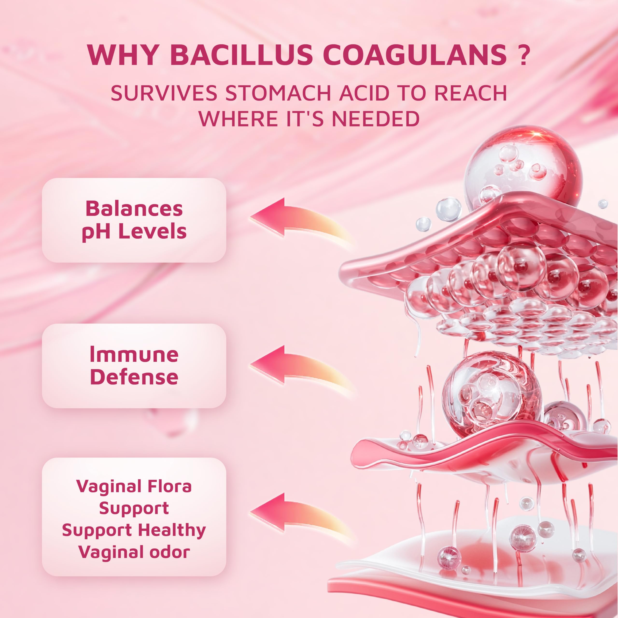 sups nature bacillus coagulans probiotic label signals flora balance support.