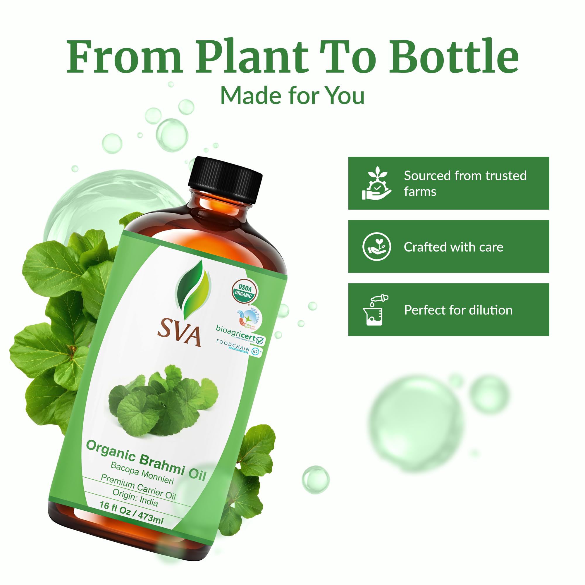 Hands warming SVA Brahmi Oil for deeper penetration.
