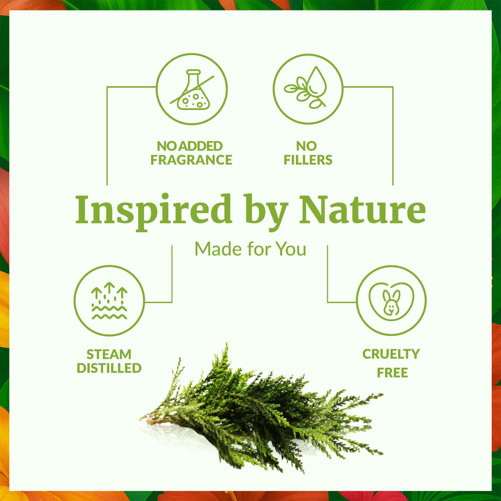 SVA Cypress essential oil added to skincare for gentle nourishment