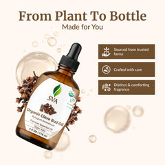 SVA ORGANICS Clove Oil for massage showing diluted skin application