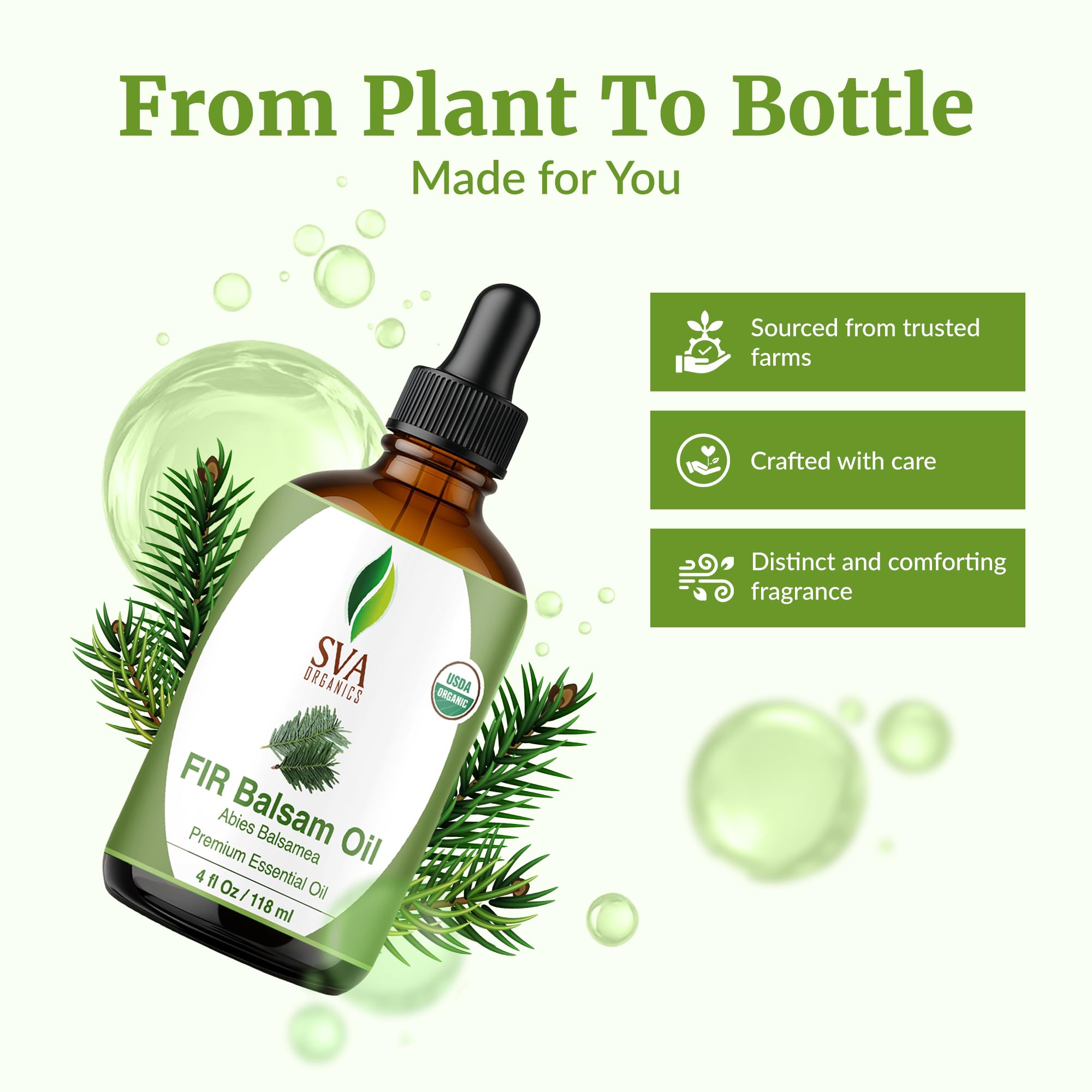 Enhance hair care routines with gentle Fir Balsam oil massage.