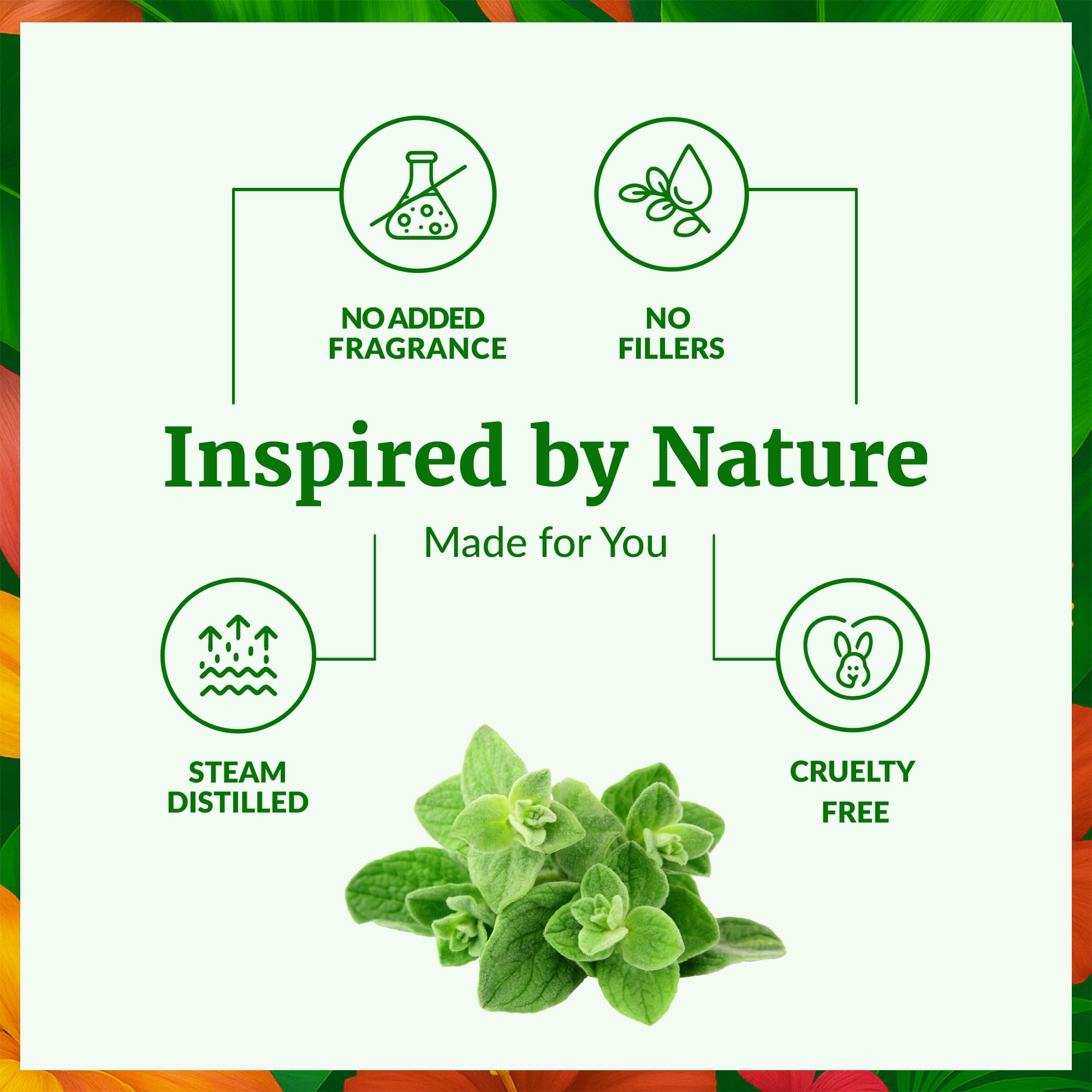 Diluted oregano oil for skin care and gentle massage by SVA ORGANICS.