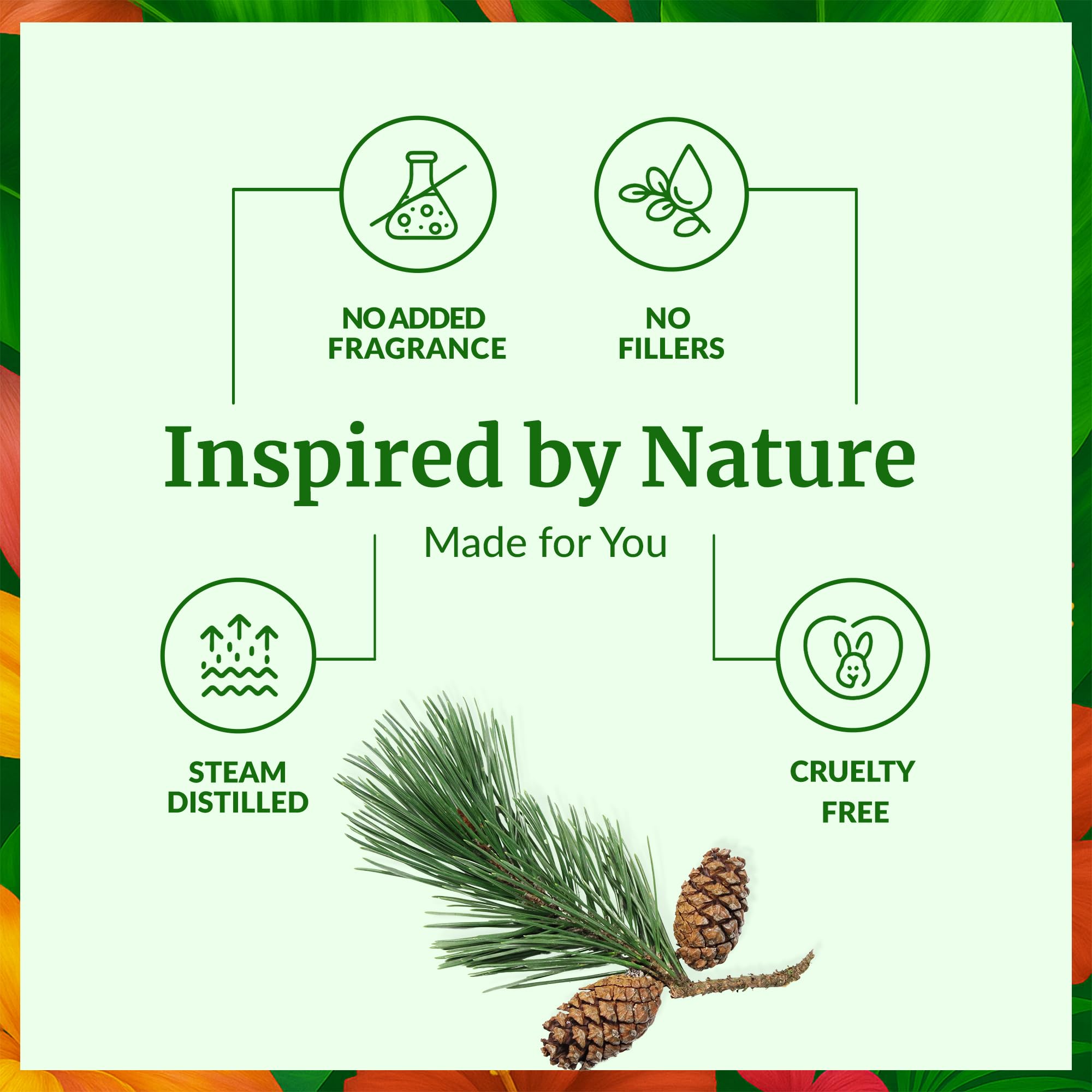 SVA Pine Needle Oil applied to skin care routines with safe dilution.