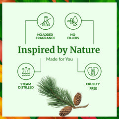 SVA Pine Needle Oil applied to skin care routines with safe dilution.