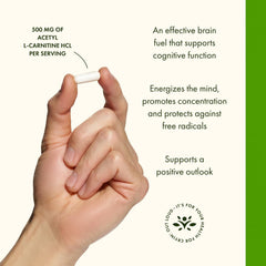 Swanson Acetyl-L-Carnitine daily-dose capsules suggests simple routine for mind and body