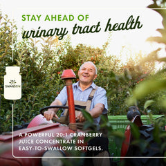 Swanson Cranberry 20:1 concentrate panel highlights high-potency formula