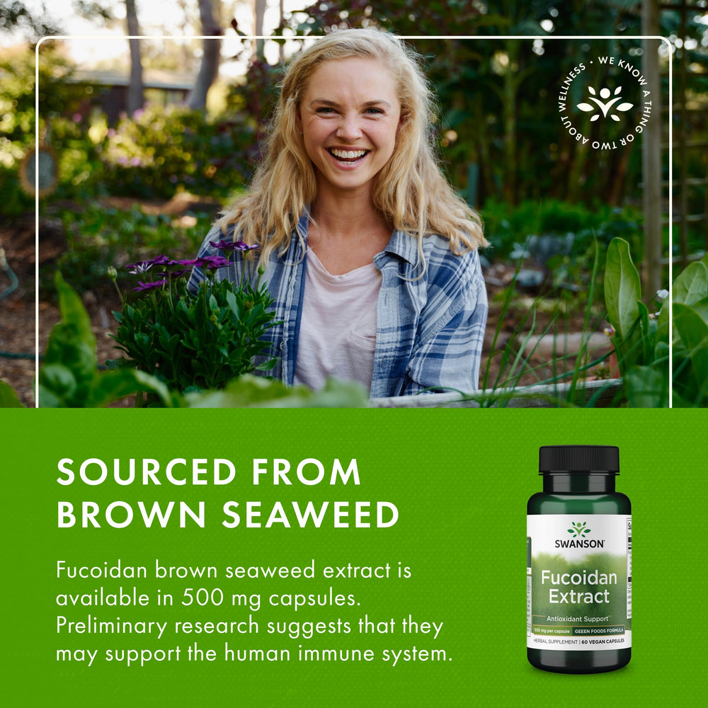 Swanson Fucoidan packaging with clear dosage and product details.