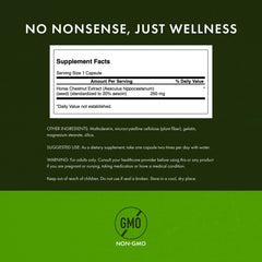 Swanson Horse Chestnut label emphasizing quality and GMP-backed production
