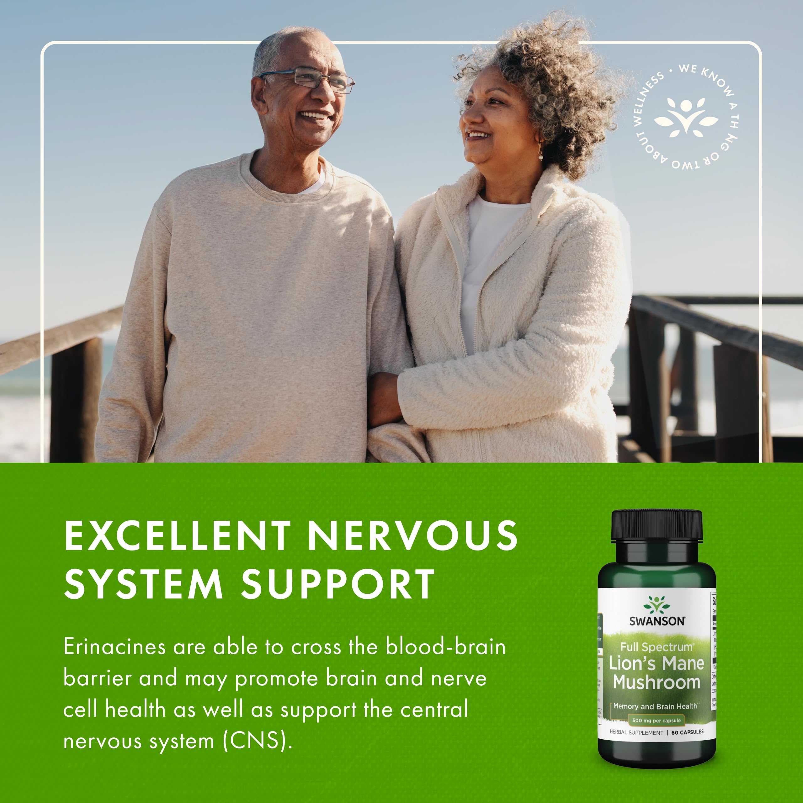 Swanson Lion's Mane full spectrum scene indicating broad benefits