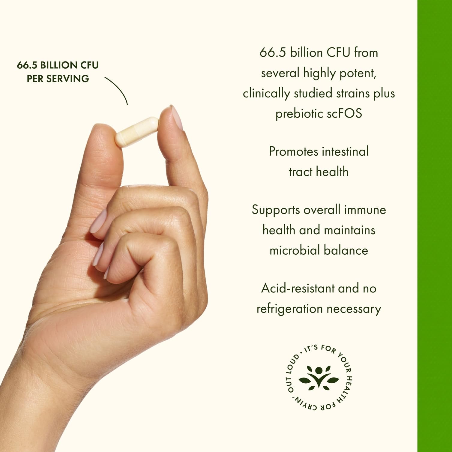 Swanson NutraFlora prebiotic ingredients supporting probiotic growth and resilience.