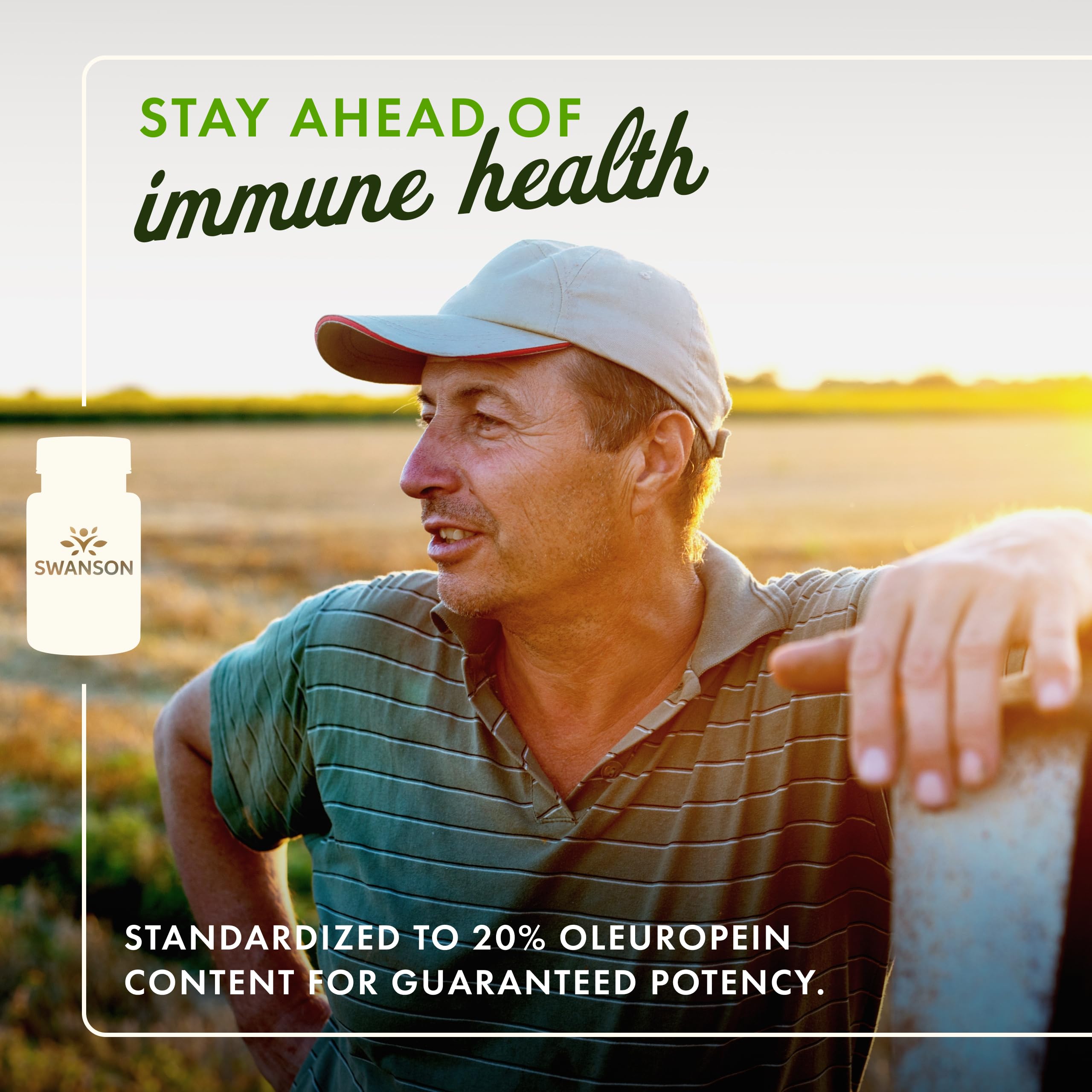 Swanson olive leaf capsules stacked, suggesting daily immune wellness and convenience