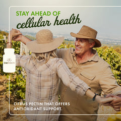 Close-up of Swanson PectiPure capsules for daily support
