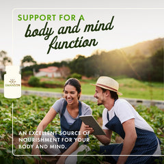 Swanson sunflower lecithin softgel pour for daily use