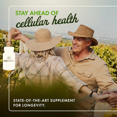 Swanson Telomere Formula capsules closeup, easy-to-swallow vegan capsules.