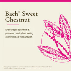 Close-up of the Sweet Chestnut bottle label highlighting a vegan formula.