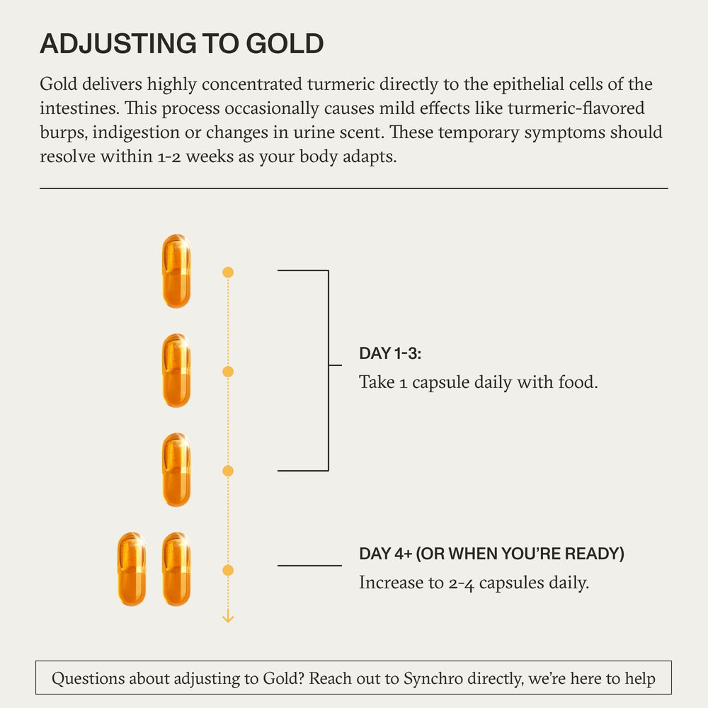 Synchro Gold capsules ready to take with meals, convenient daily option.