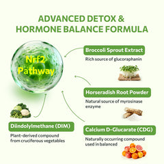 SYZY GENICS enzyme activation myrosinase boosts sulforaphane formation