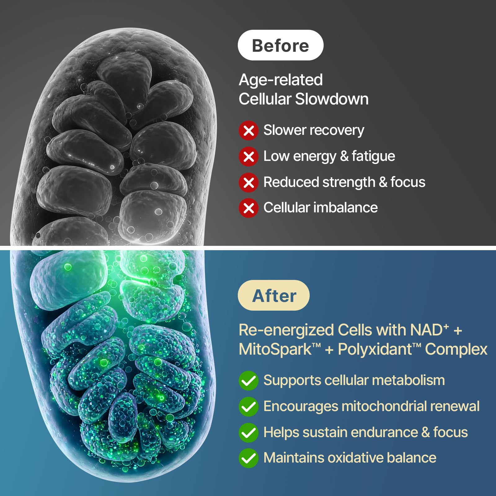 SYZY GENICS NAD+ blister-pack image emphasizing sealed protection and freshness.