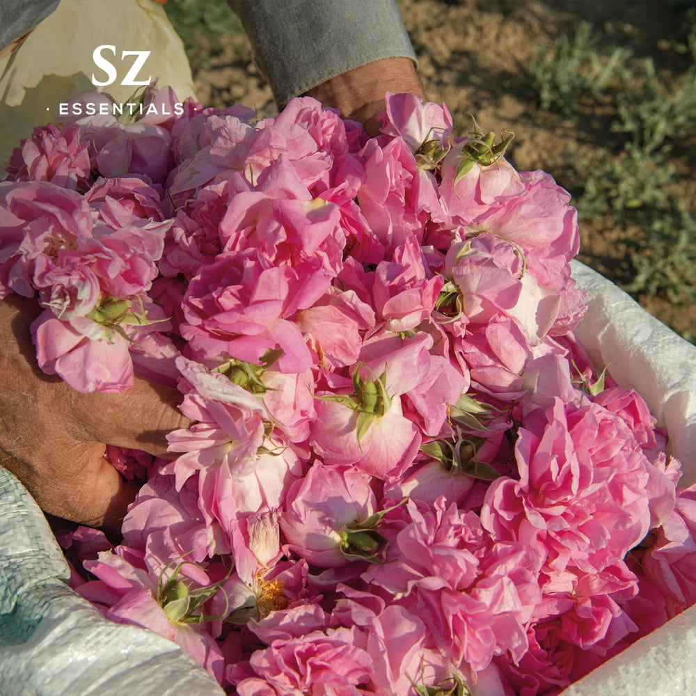 Sz Essentials Rose Absolute diffuser scene suggesting a tranquil romantic home ambiance.