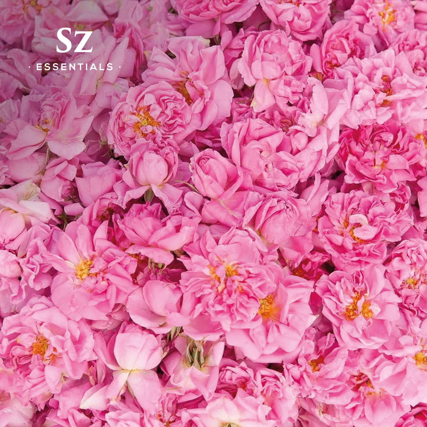 Sz Essentials Rose Absolute packaging label showing pure Bulgarian rose essence.