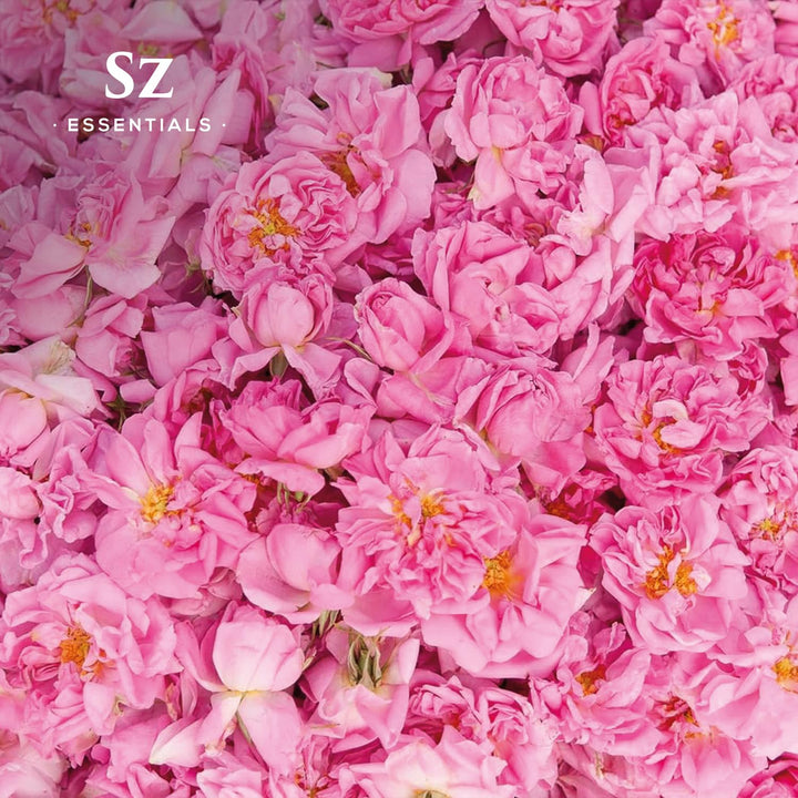 Sz Essentials Rose Absolute packaging label showing pure Bulgarian rose essence.