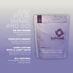 Closeup of Tailwind Endurance Fuel powder showing clean ingredients