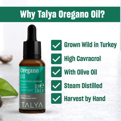 Talya Oregano Oil steam-distillation process visual represents pure extraction of actives.
