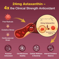 Talyvoriathor CoQ10 softgels emphasizing antioxidant support