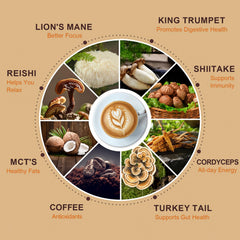 TAOTERS Mushroom Coffee bag closeup highlights Reishi and Lion’s Mane ingredients.