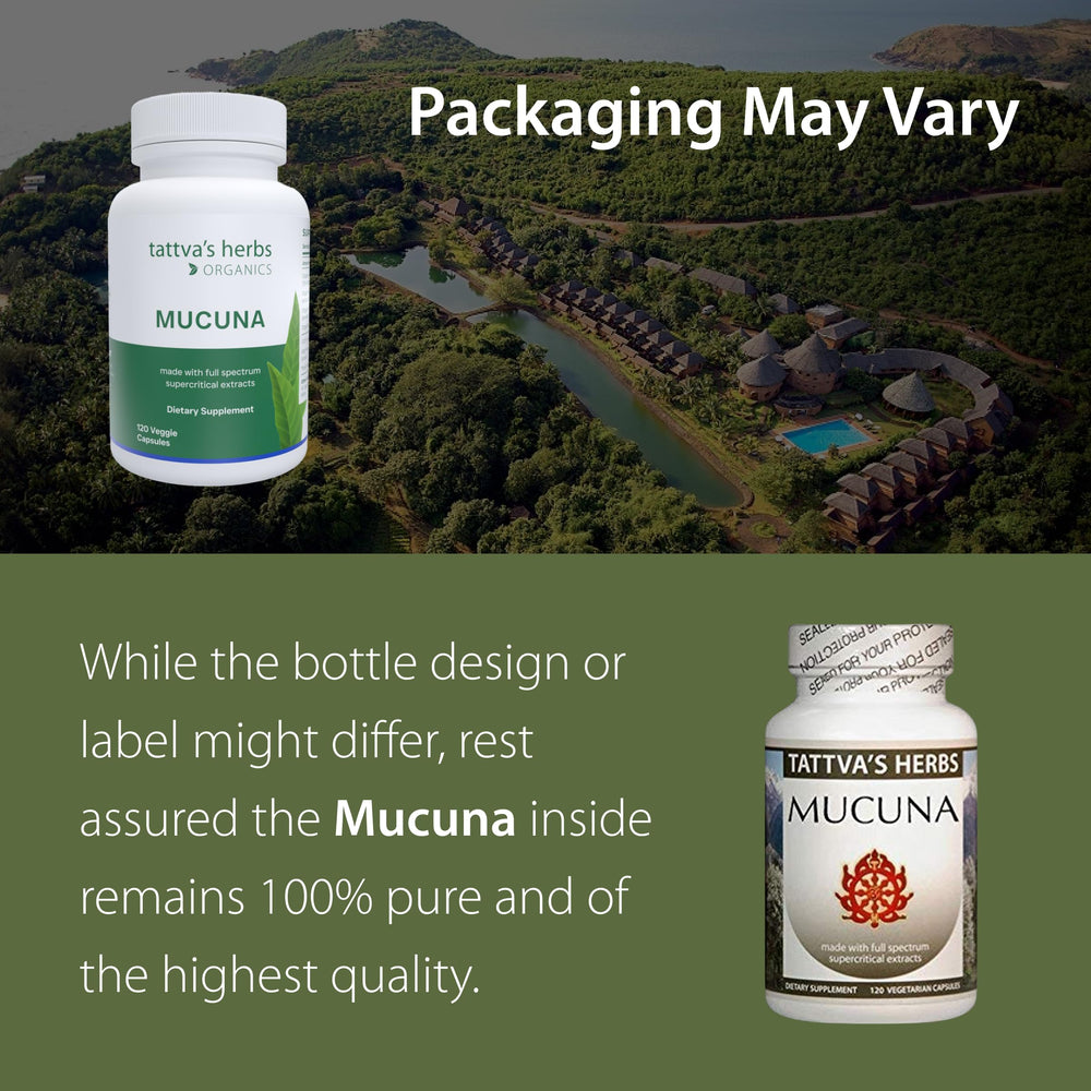 Tattva's Herbs Mucuna Pruriens capsules close-up, convenient daily support.