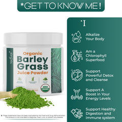 Teaveli barley grass juice powder scoop shows easy portioning for smoothies.