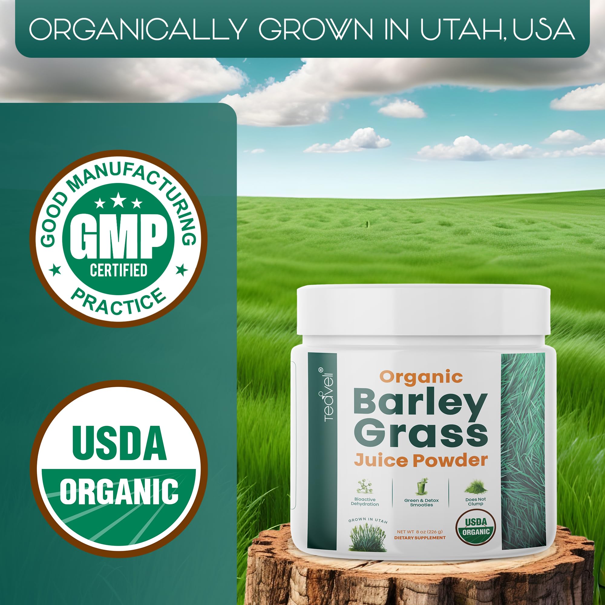Teaveli barley grass powder closeup highlights chlorophyll rich greens.