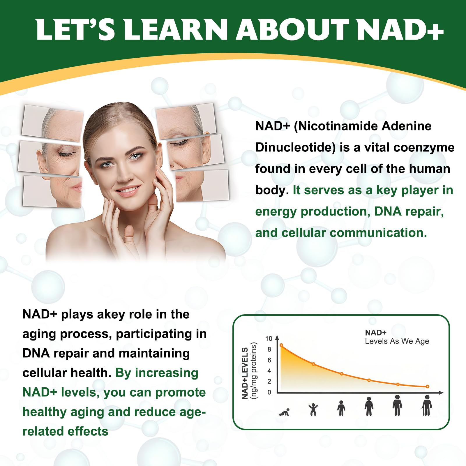 Tecepec NAD+ Plus bottle label close-up highlighting ingredients