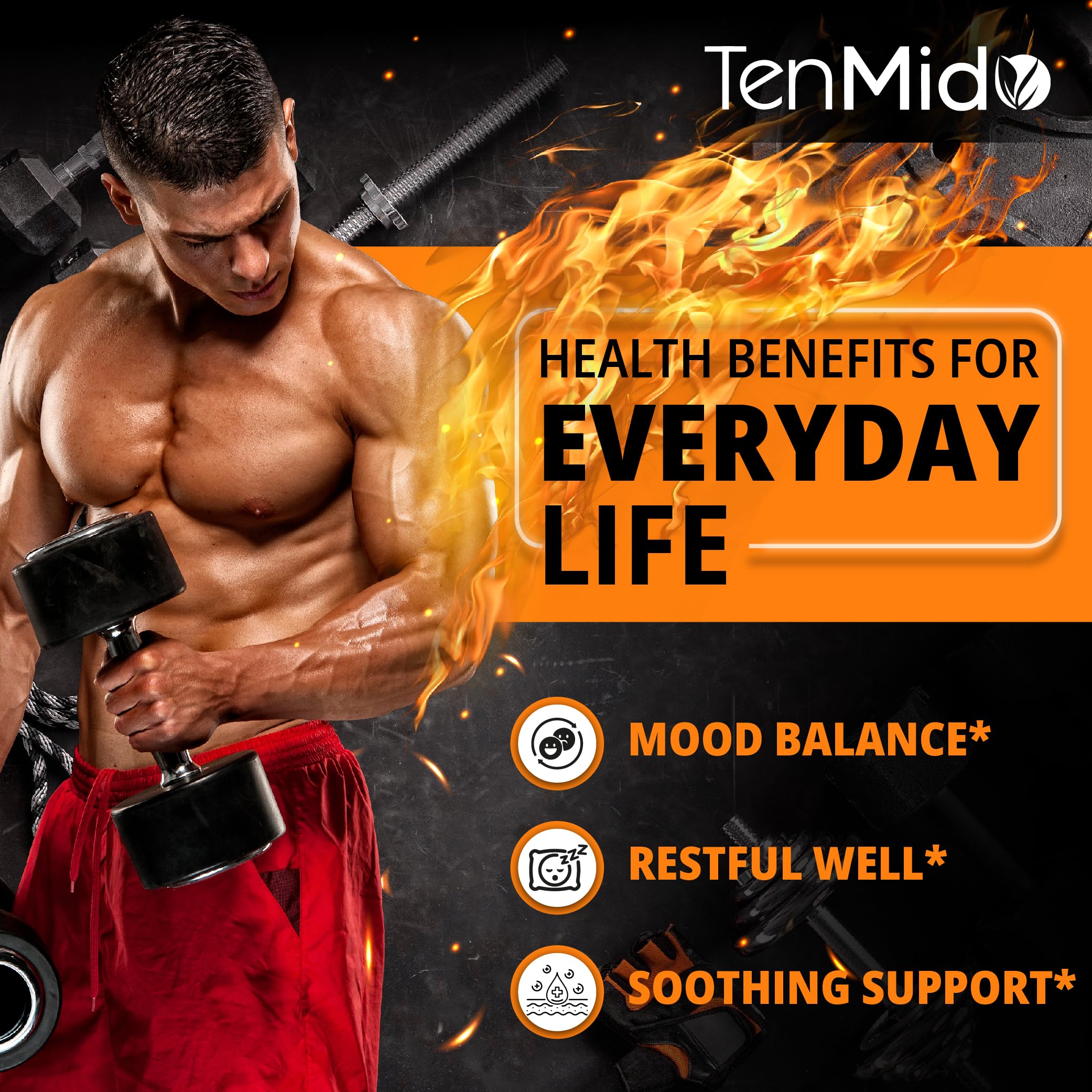 Tenmido tincture label back lists ingredients and vegan, alcohol-free formula.