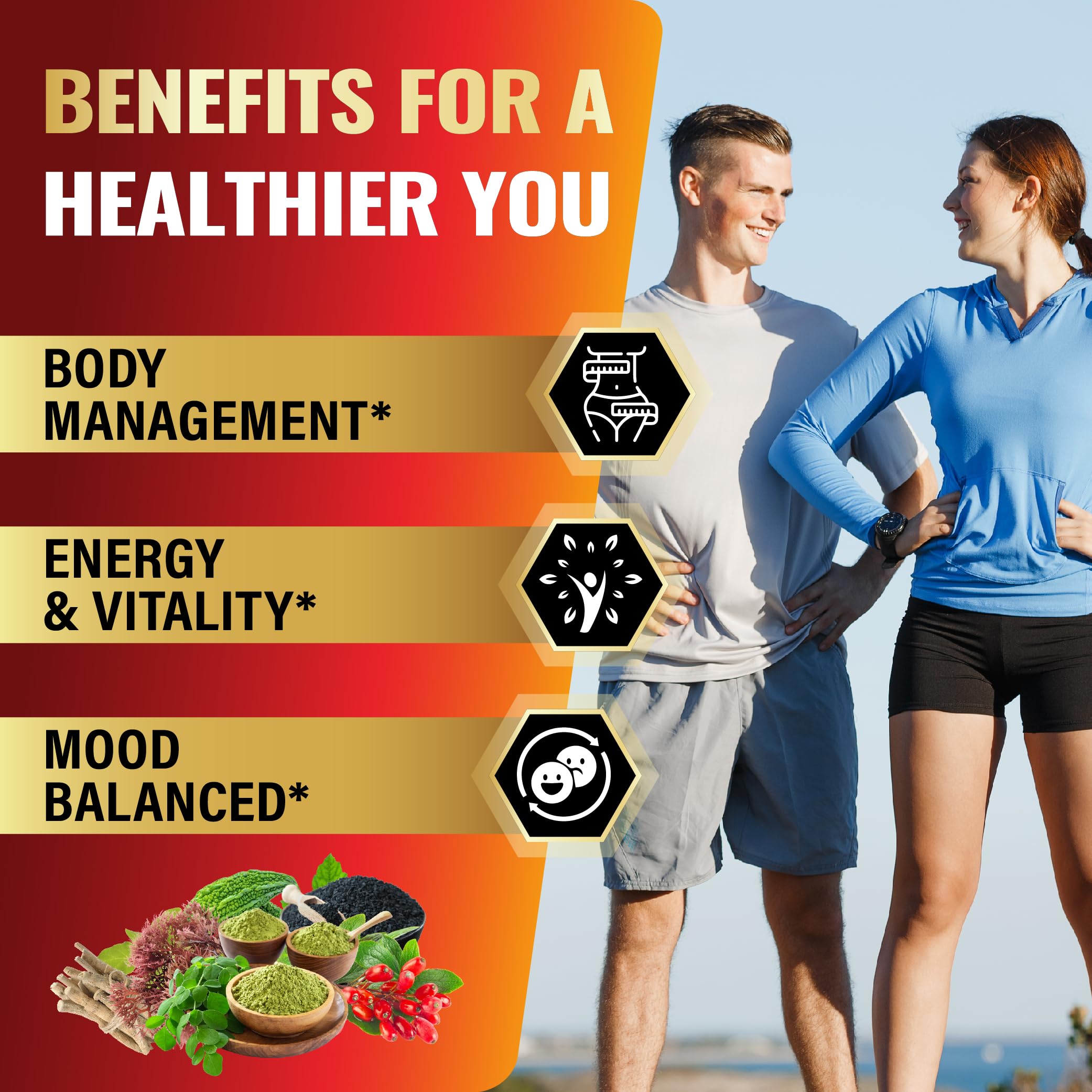 Tenmido ingredients collage featuring Moringa, Sea Moss, and Ashwagandha