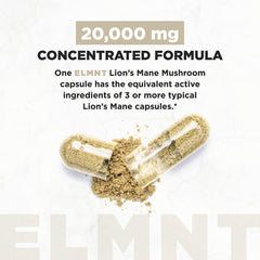 Closeup of Terra Elmnt Lions Mane capsules for daily use