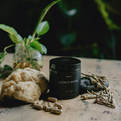 Terra Elmnt Lions Mane extract powder closeup emphasizes potency