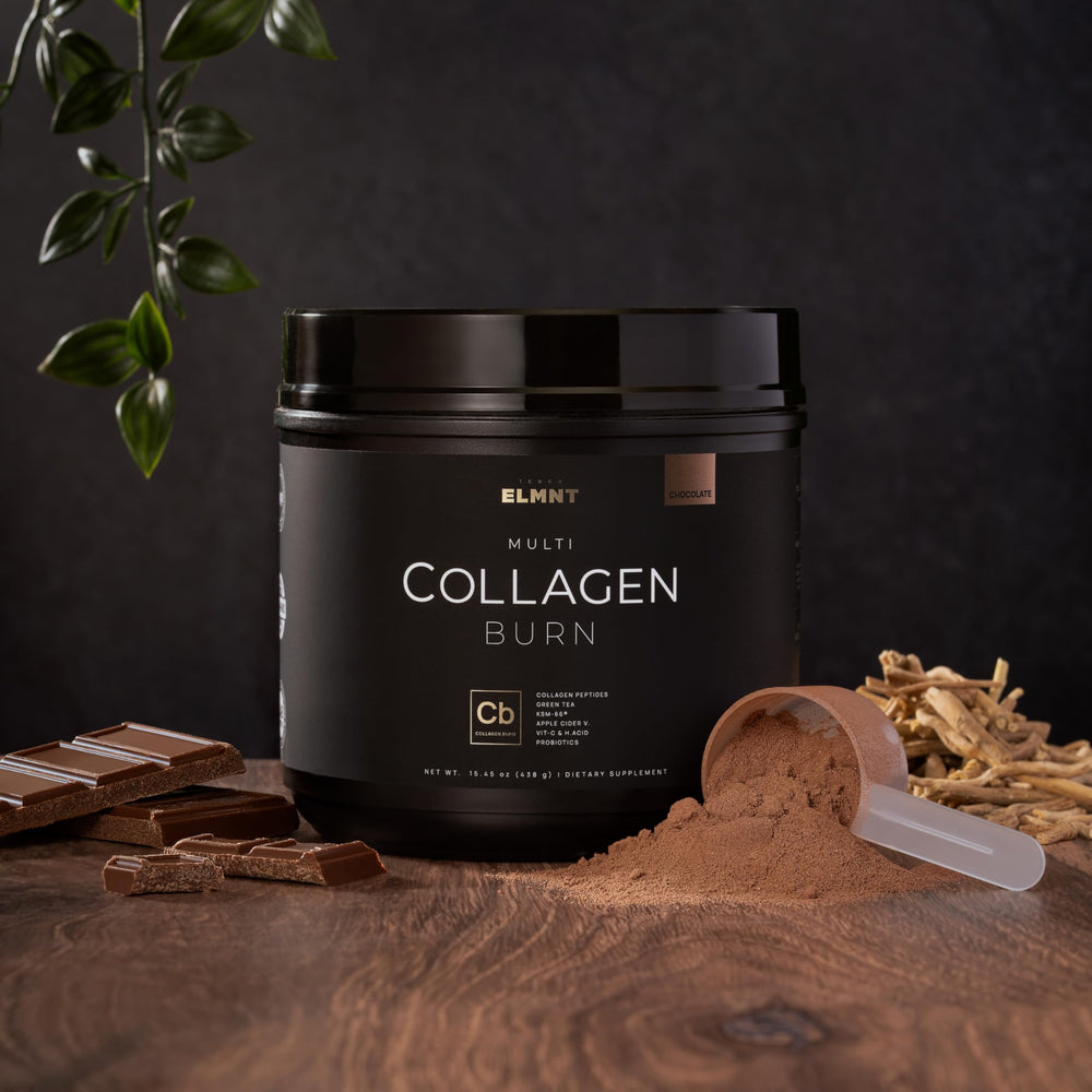 Terra Elmnt probiotics and digestive enzymes icon signaling gut health support.