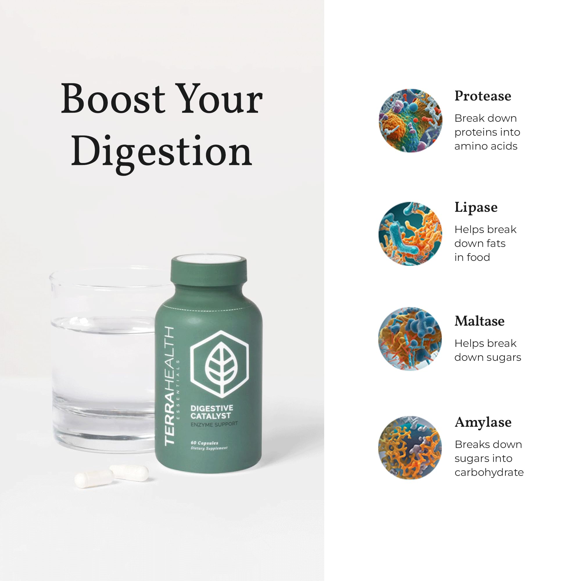 Lifestyle setting Terra Health Digestive Catalyst on kitchen table