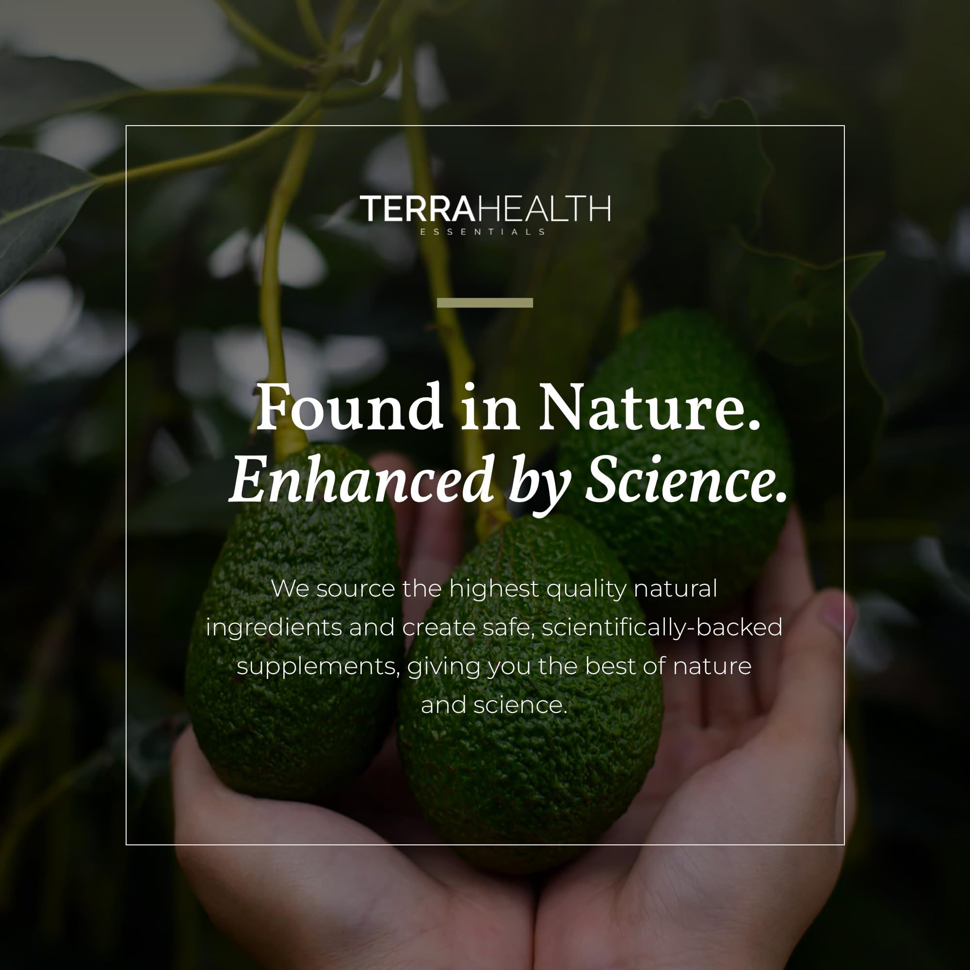 Terra Health Essentials liposomal glutathione bottle close-up highlighting quality