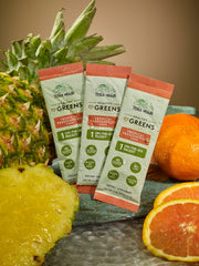 Terra Origin Greens Powder stick packets offering convenient on-the-go wellness.