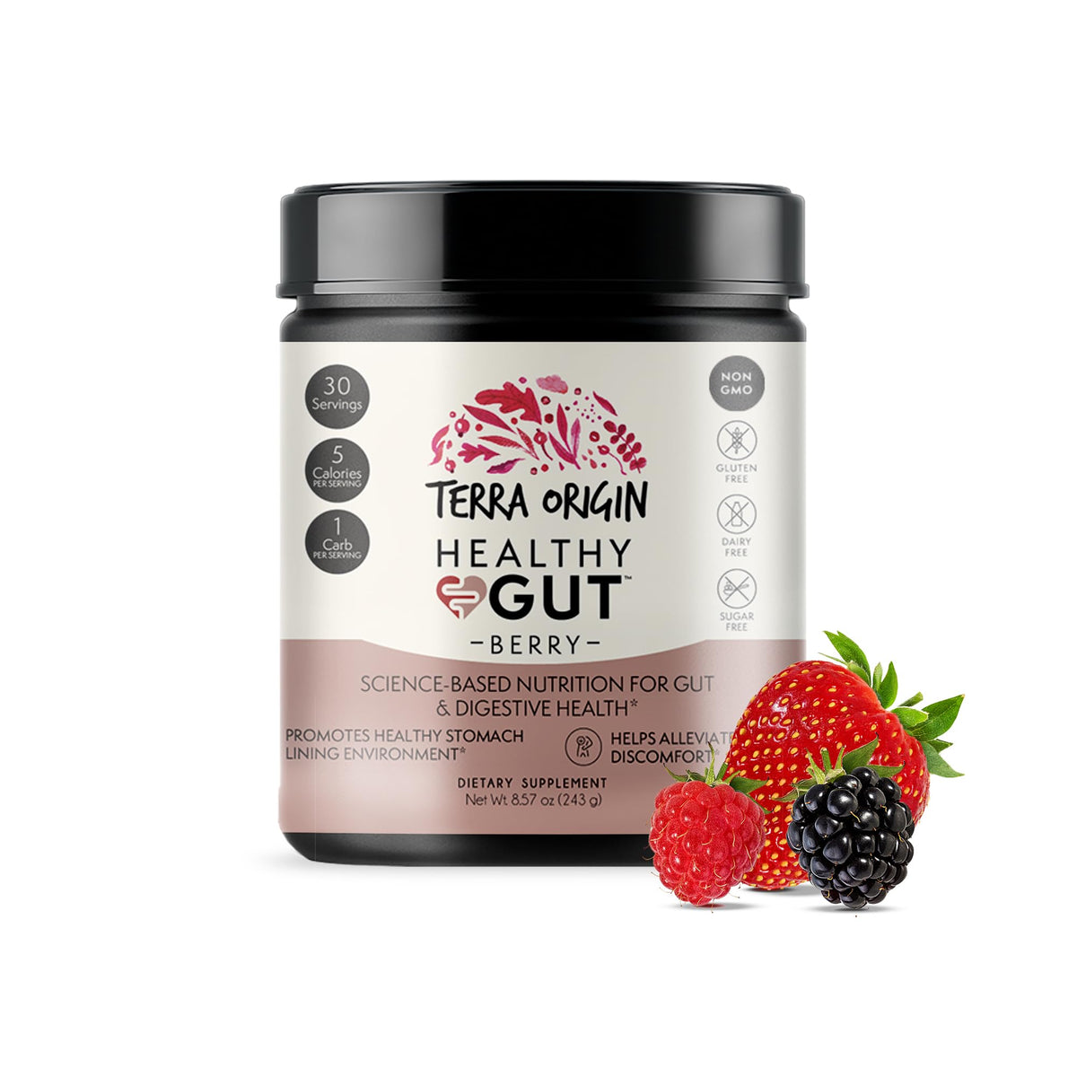 Terra Origin Healthy Gut Powder Berry bottle front showing berry flavor and label