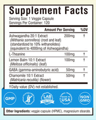 Terranics Ashwagandha L-Theanine capsules close-up for stress support