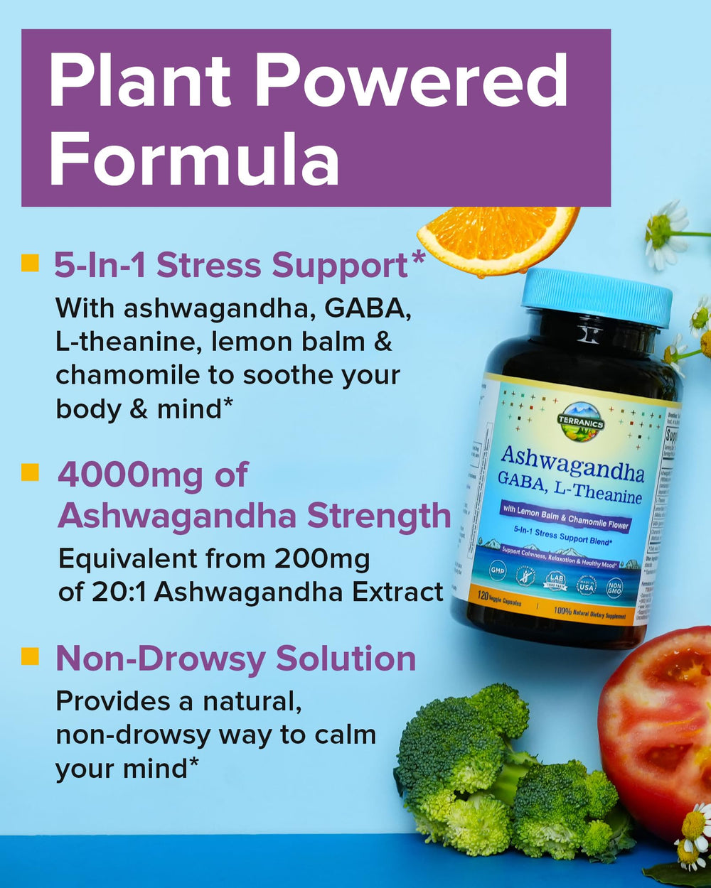 Terranics Ashwagandha L-Theanine label close-up highlighting potency