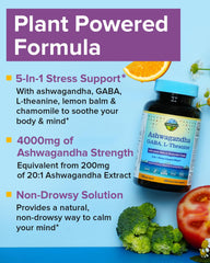 Terranics Ashwagandha L-Theanine label close-up highlighting potency