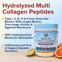 Terranics multi collagen powder ingredient label emphasizes purity and clean sourcing.